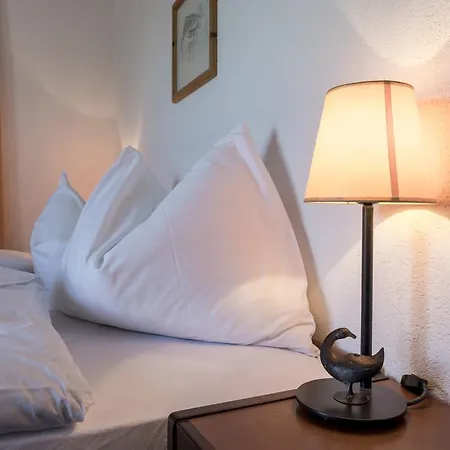 Hotel Frisal Breil/Brigels