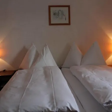 Frisal Hotel 3*